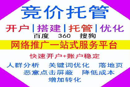 初探SEM推广代运营的多种成功模式